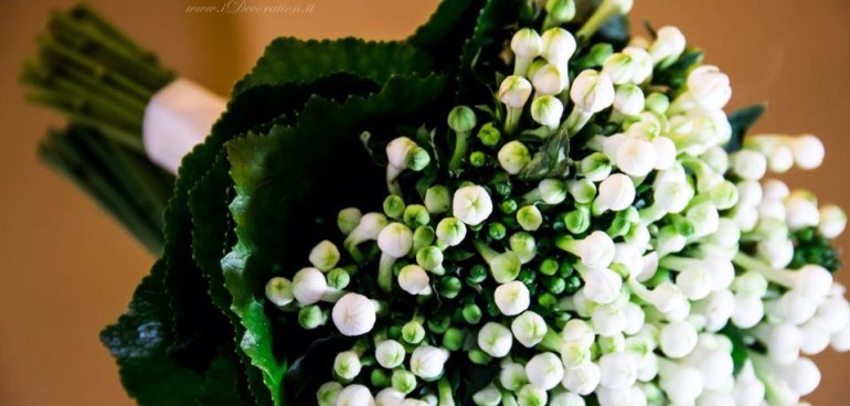 bouquet bouvardia bianco idecoration